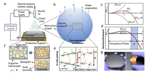  フェリト磁性セラミックス: 高性能医療機器への道を切り開く革新的なバイオマテリアル！